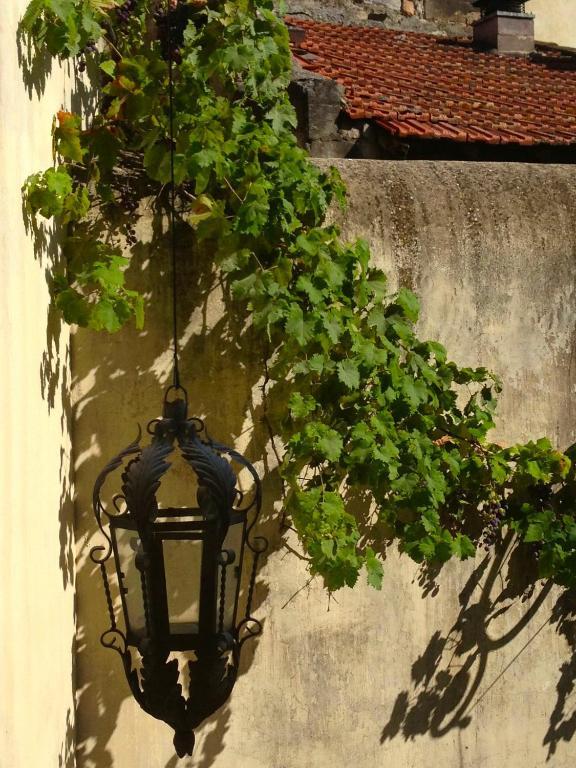 Saint-Rémy-de-Provence La Maison D'Isidore מראה חיצוני תמונה
